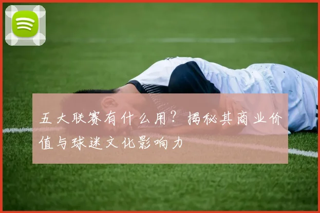 五大联赛有什么用？揭秘其商业价值与球迷文化影响力